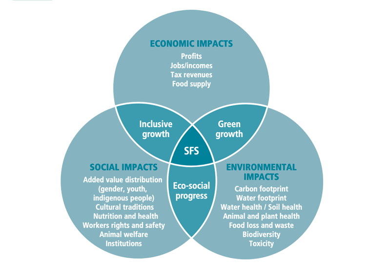 食物系统的可持续性